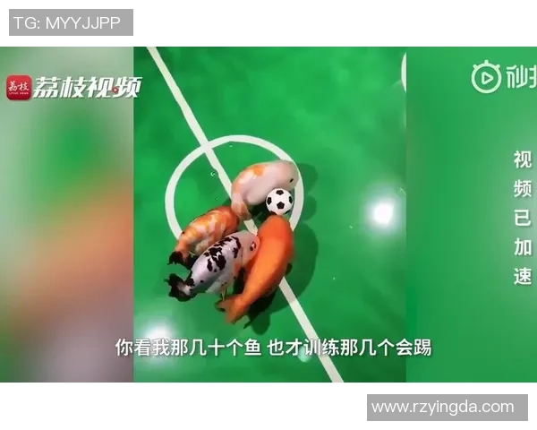 足球明星在海边悠闲抓鱼的趣味瞬间展现运动员生活的另一面